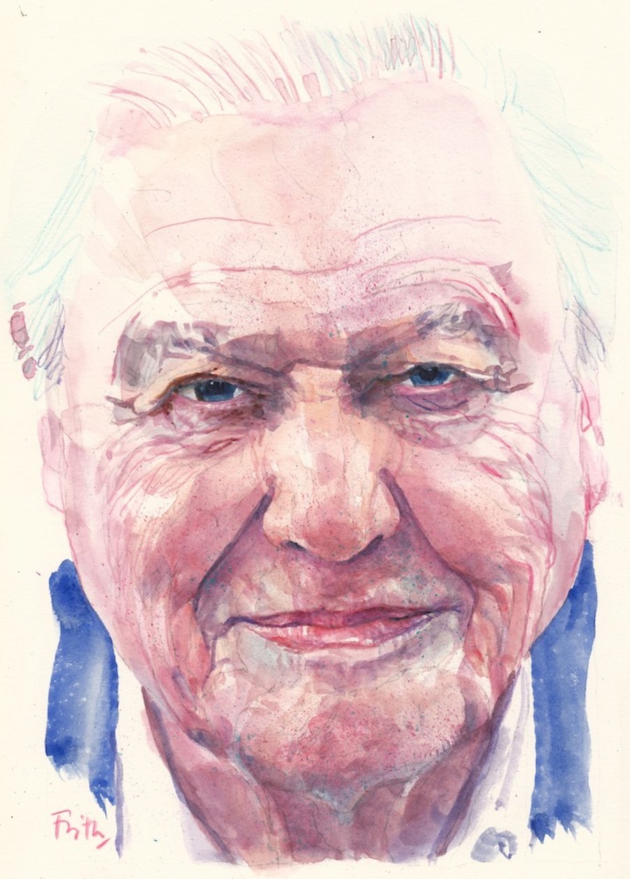 Sir David Attenborough door Michael Frith