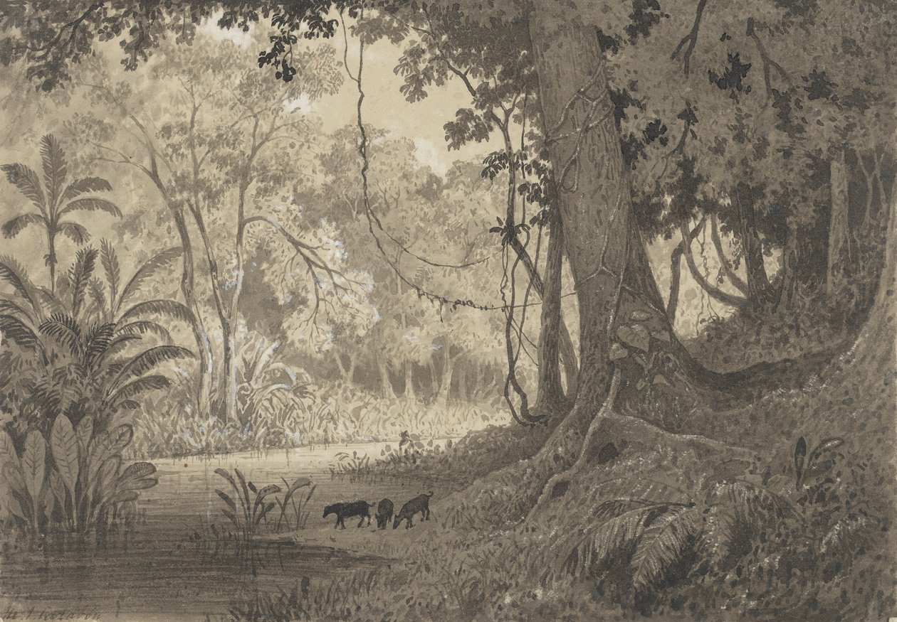 Boslandschap bij Tamana door Michel Jean Cazabon