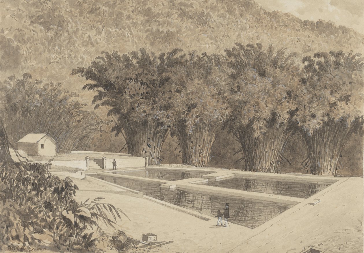 Het reservoir bij Maraval door Michel Jean Cazabon