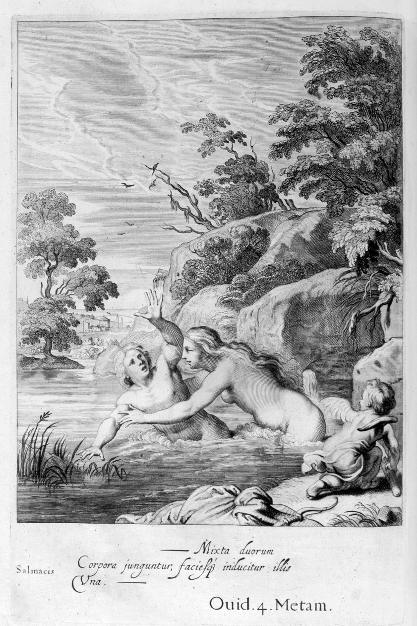 De nimf Salmacis en Hermaphroditus door Michel de Marolles