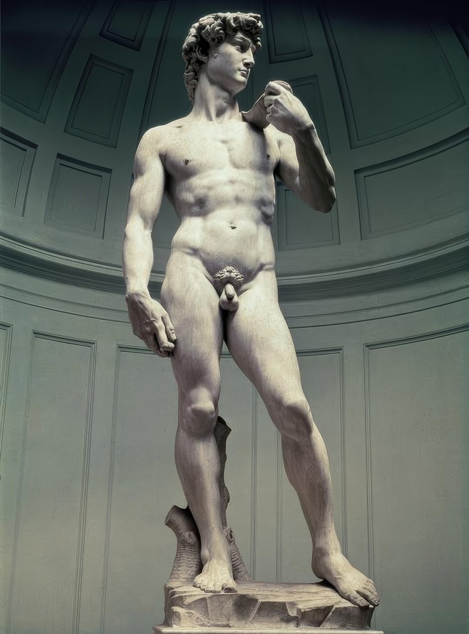 David door Michelangelo Buonarroti