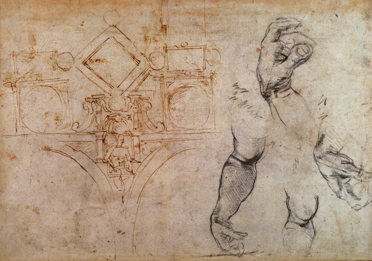 Schema voor het plafond van de Sixtijnse Kapel, c.1508 door Michelangelo Buonarroti
