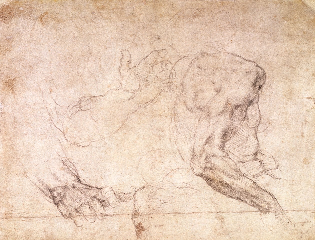 Studies van handen en een arm (verso) door Michelangelo Buonarroti