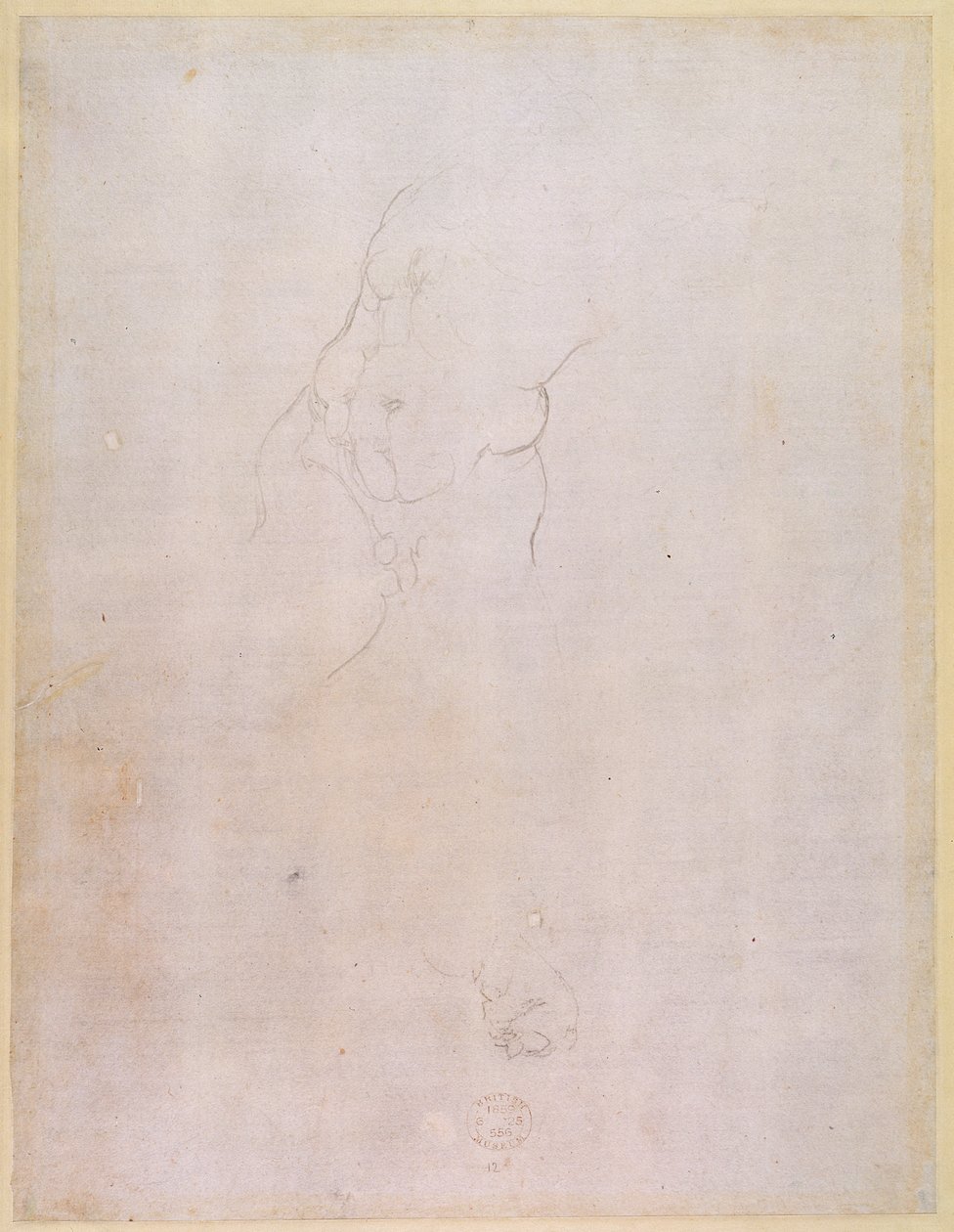 Studie van een mannelijk torso (verso) door Michelangelo Buonarroti