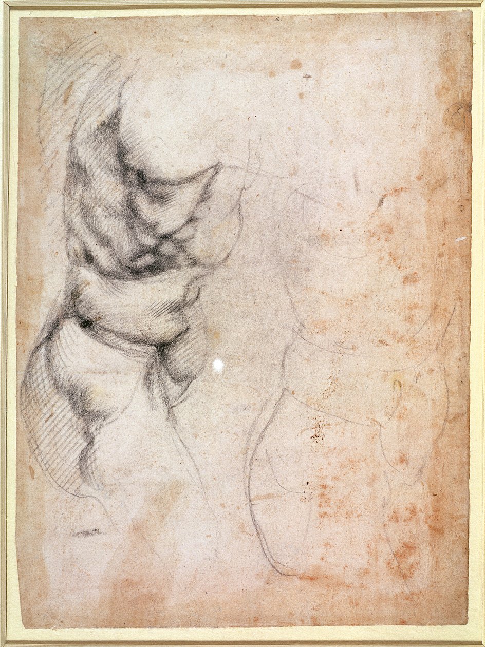 Studie van torso en bil (houtskool op papier) (recto) door Michelangelo Buonarroti