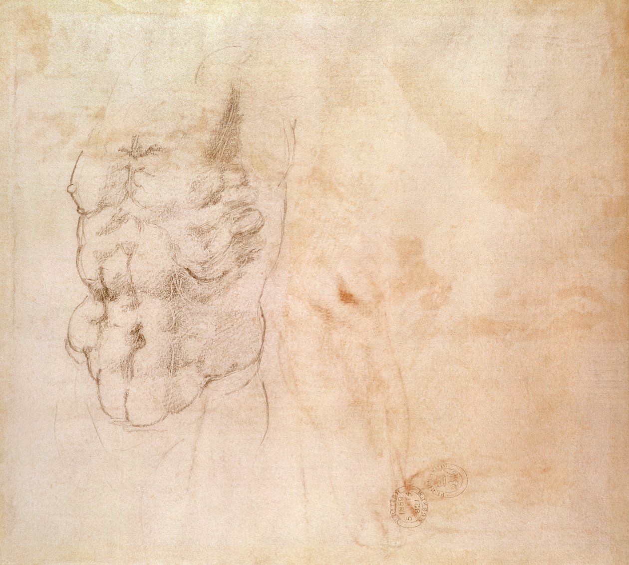 Torsostudie door Michelangelo Buonarroti