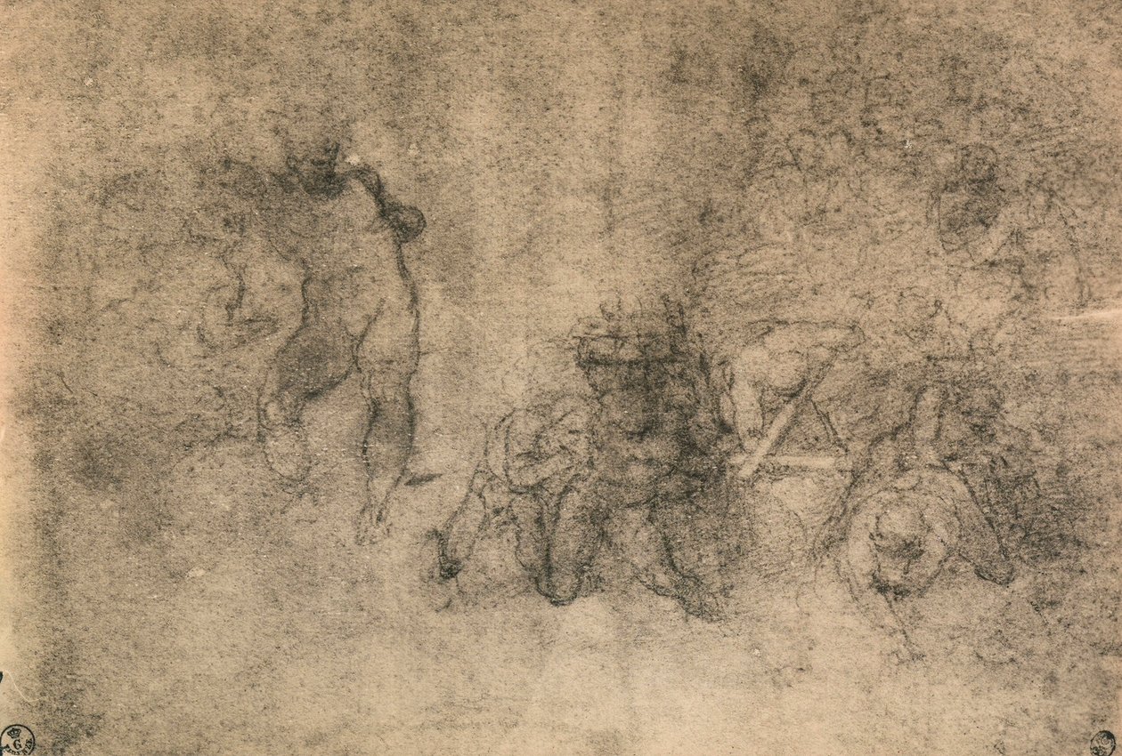 Verschillende studies van een mannelijk naakt, Michelangelo door Michelangelo Buonarroti