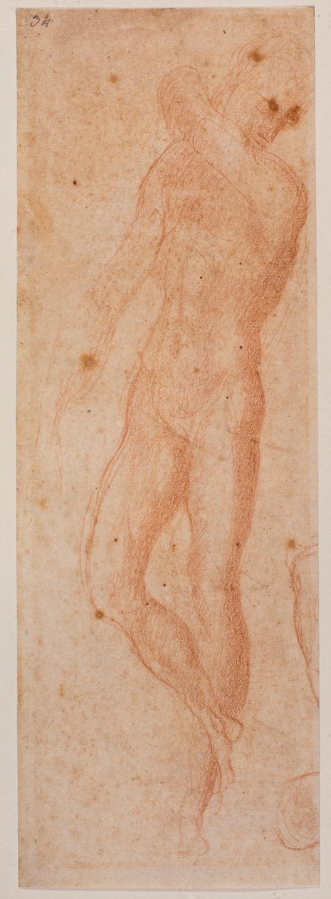 Studies van mannelijk naakt door Michelangelo (after) Buonarroti