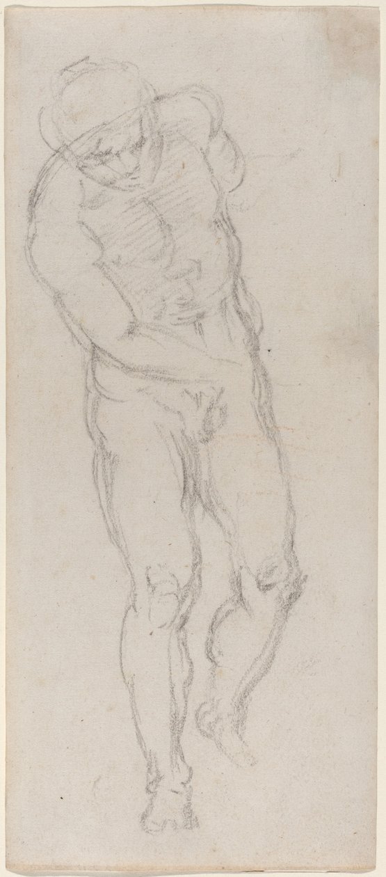 Mannelijk Naakt (recto) door Michelangelo