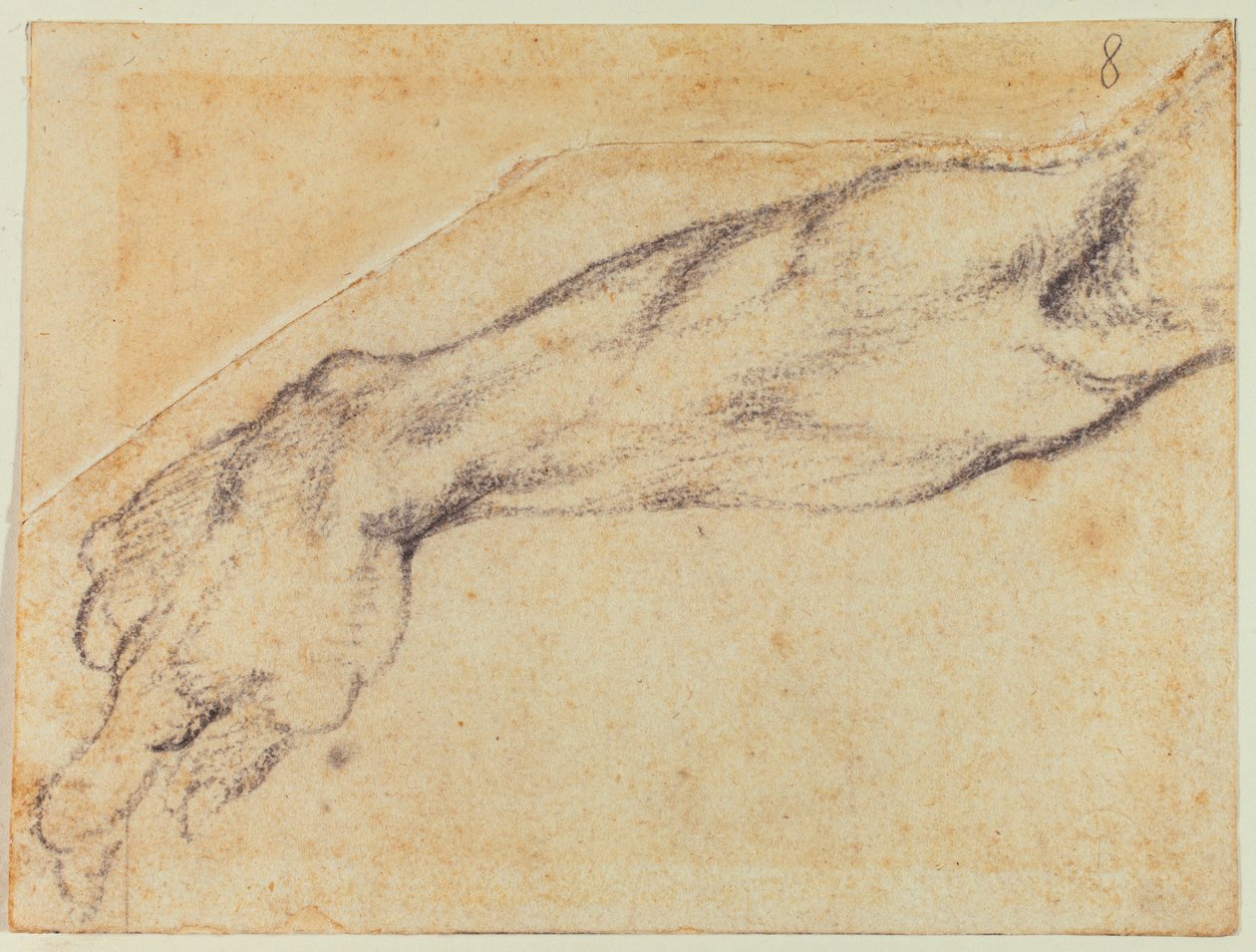 Armstudie voor een figuur in de Sixtijnse Kapel door Michelangelo Buonarroti