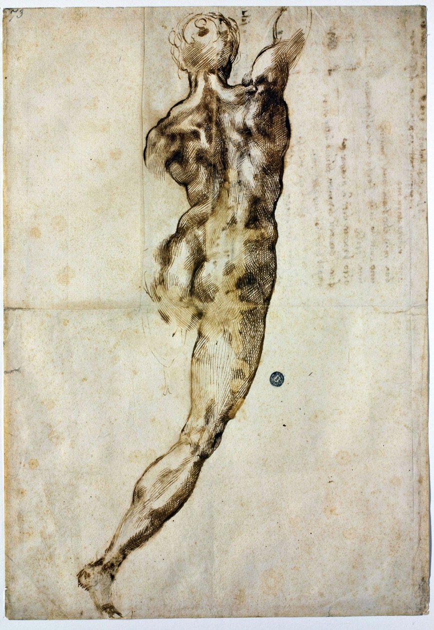 Naakt van achteren, c. 1504 door Michelangelo Buonarroti