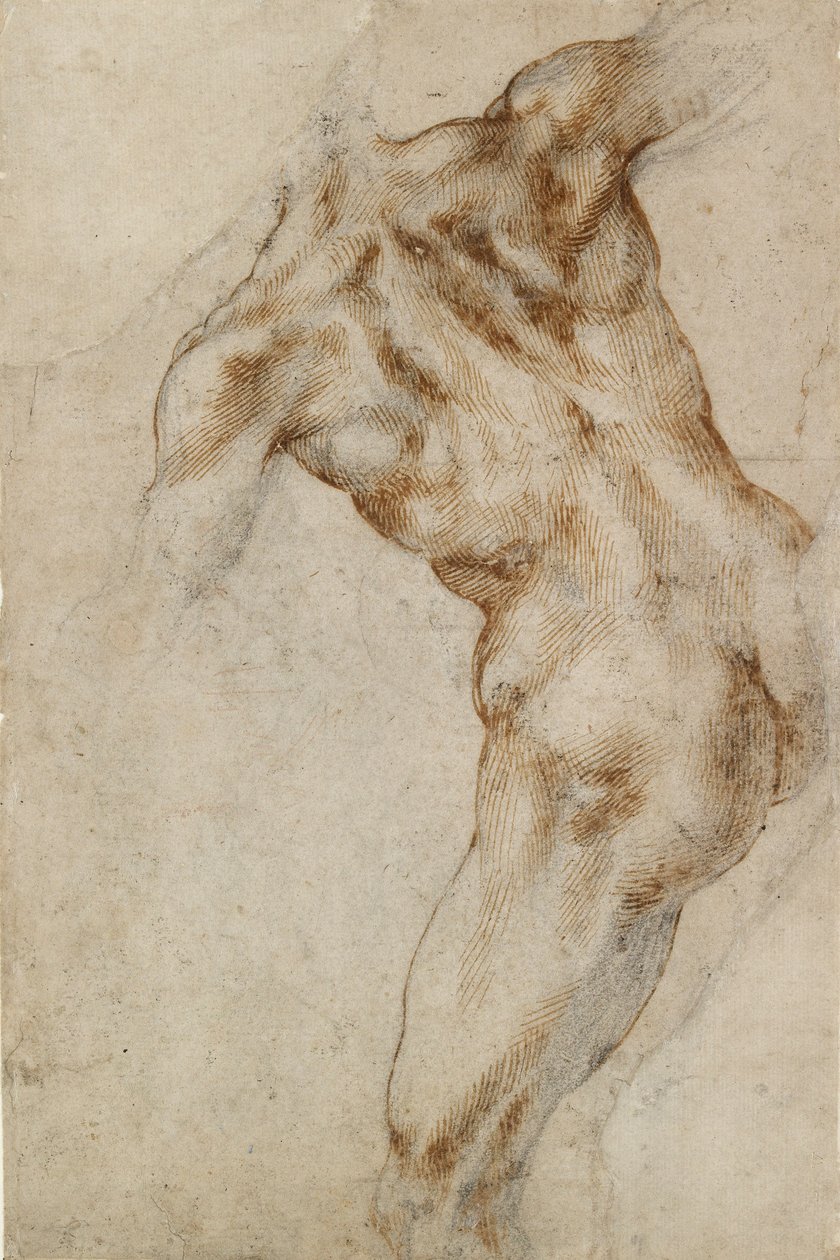 Naakt mannelijk torso, begin 16e eeuw door Michelangelo Buonarroti
