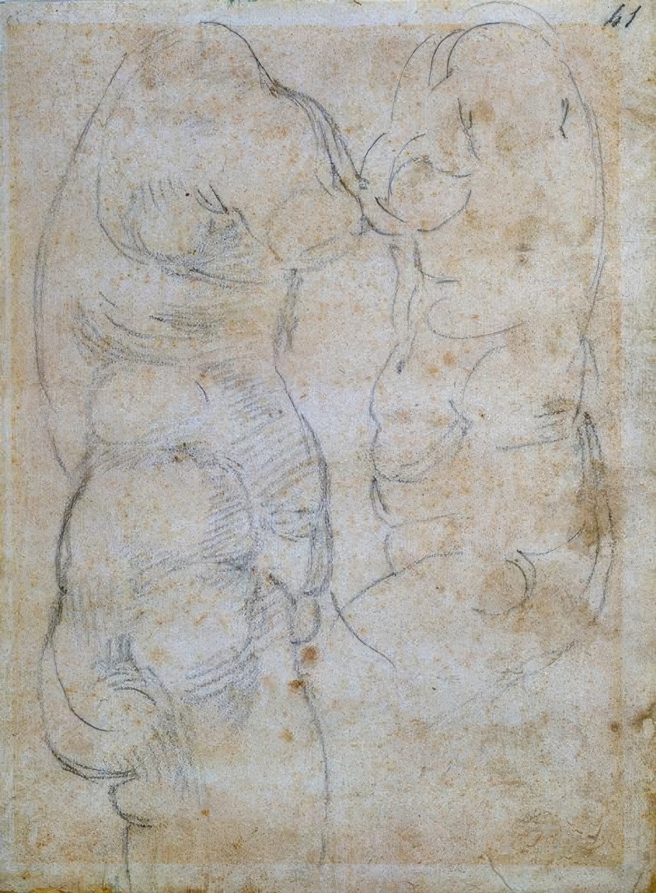 Twee studies naar een antiek vrouwentorso door Michelangelo Buonarroti