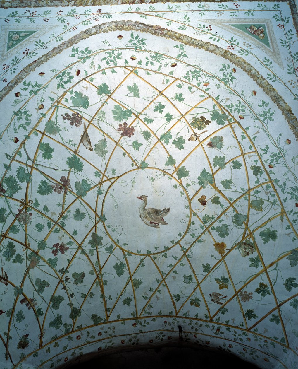 Uitzicht op het gewelf van de kelder, Villa Medicea di Careggi door Michelozzo di Bartolommeo