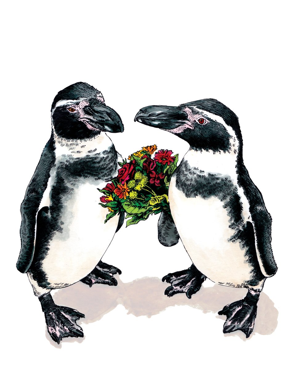 Jubileum Pinguïns op Wit, 2020 door Mike Davis