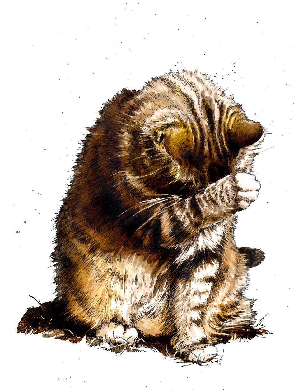 Smallfry De Kat op Wit door Mike Davis