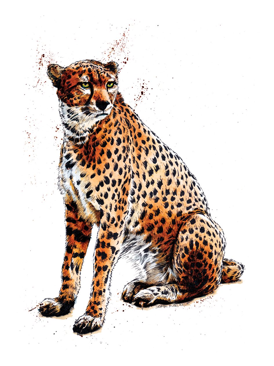 De Cheetah op Wit, 2020 door Mike Davis