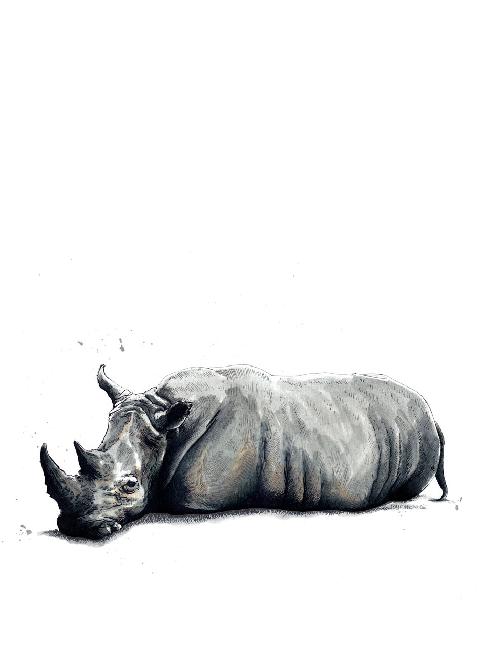 De Neushoorn op Wit door Mike Davis