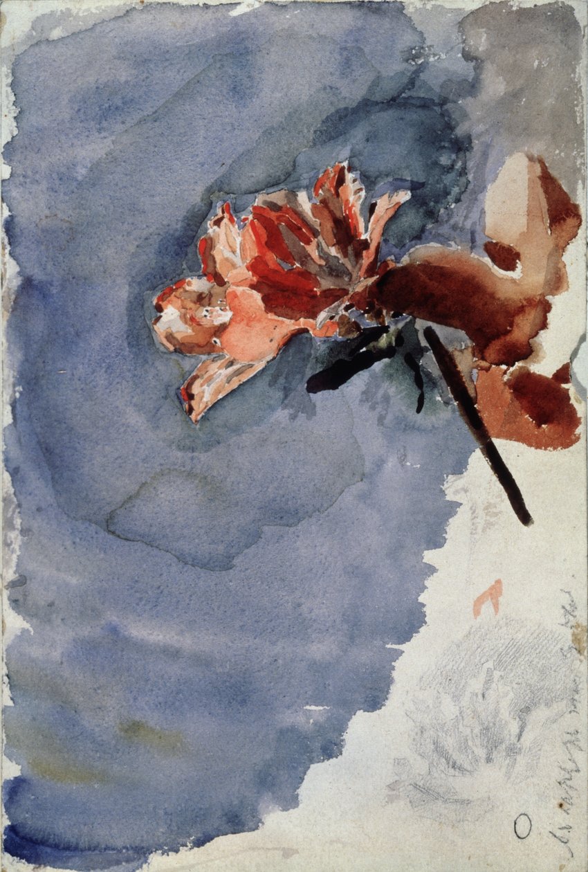 Rode Azalea, 1886-1887 door Mikhail Aleksandrovich Vrubel