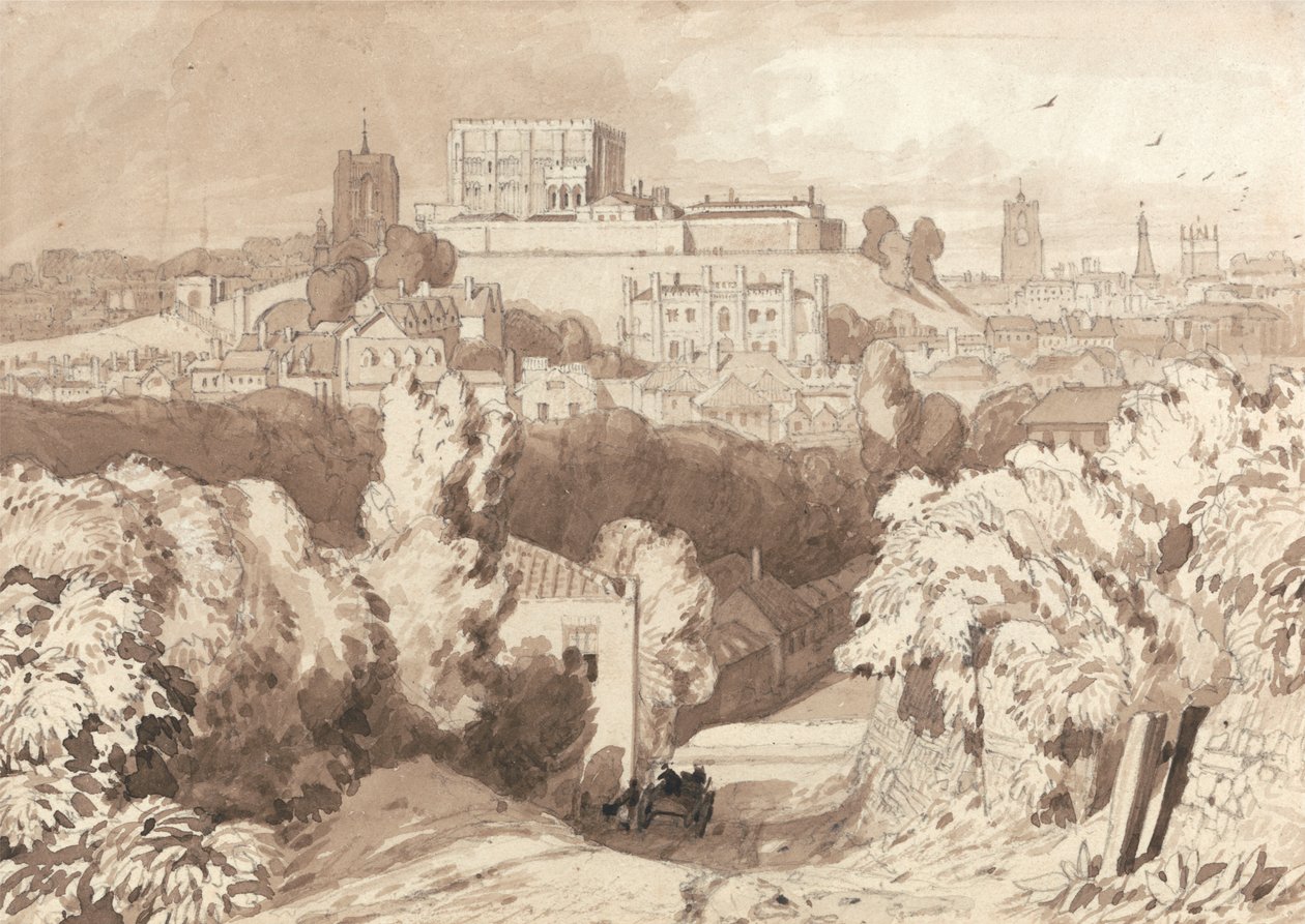 Uitzicht op Norwich door Miles Edmund Cotman