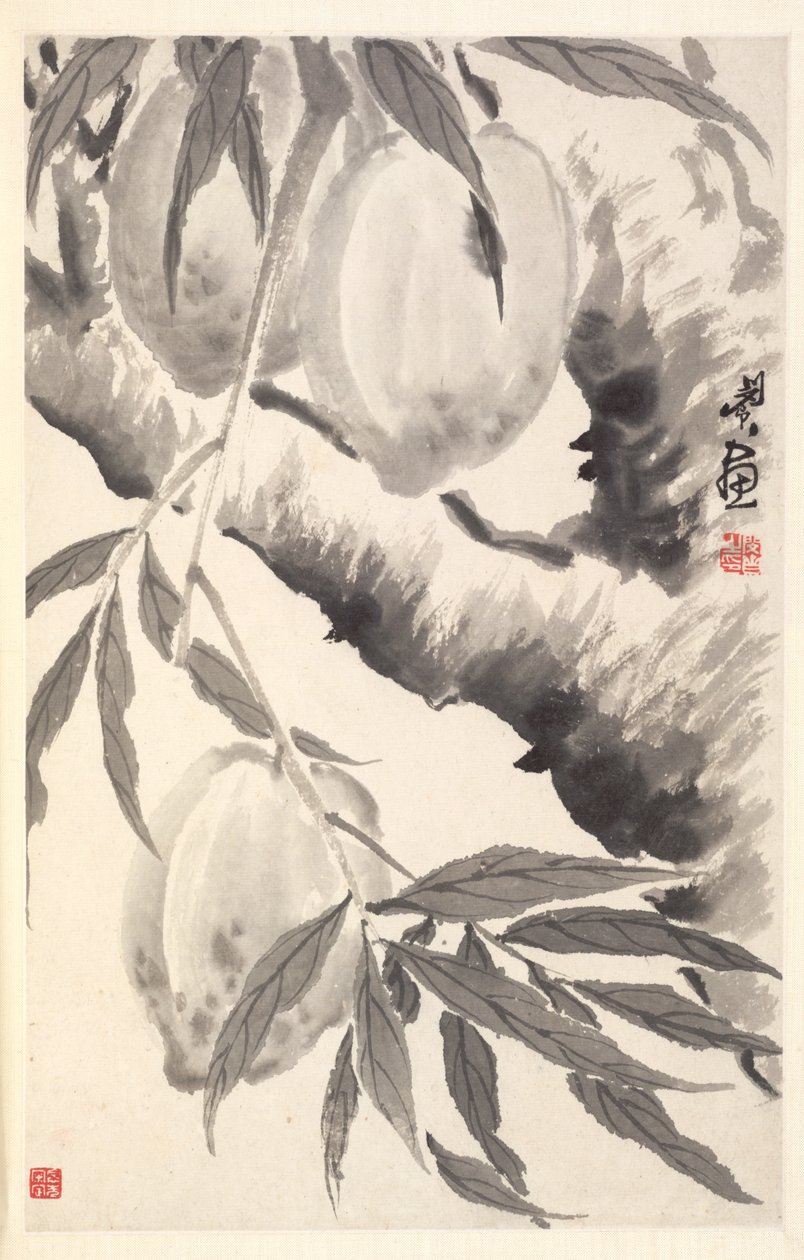 Perziken, 1788 door Min Zhen