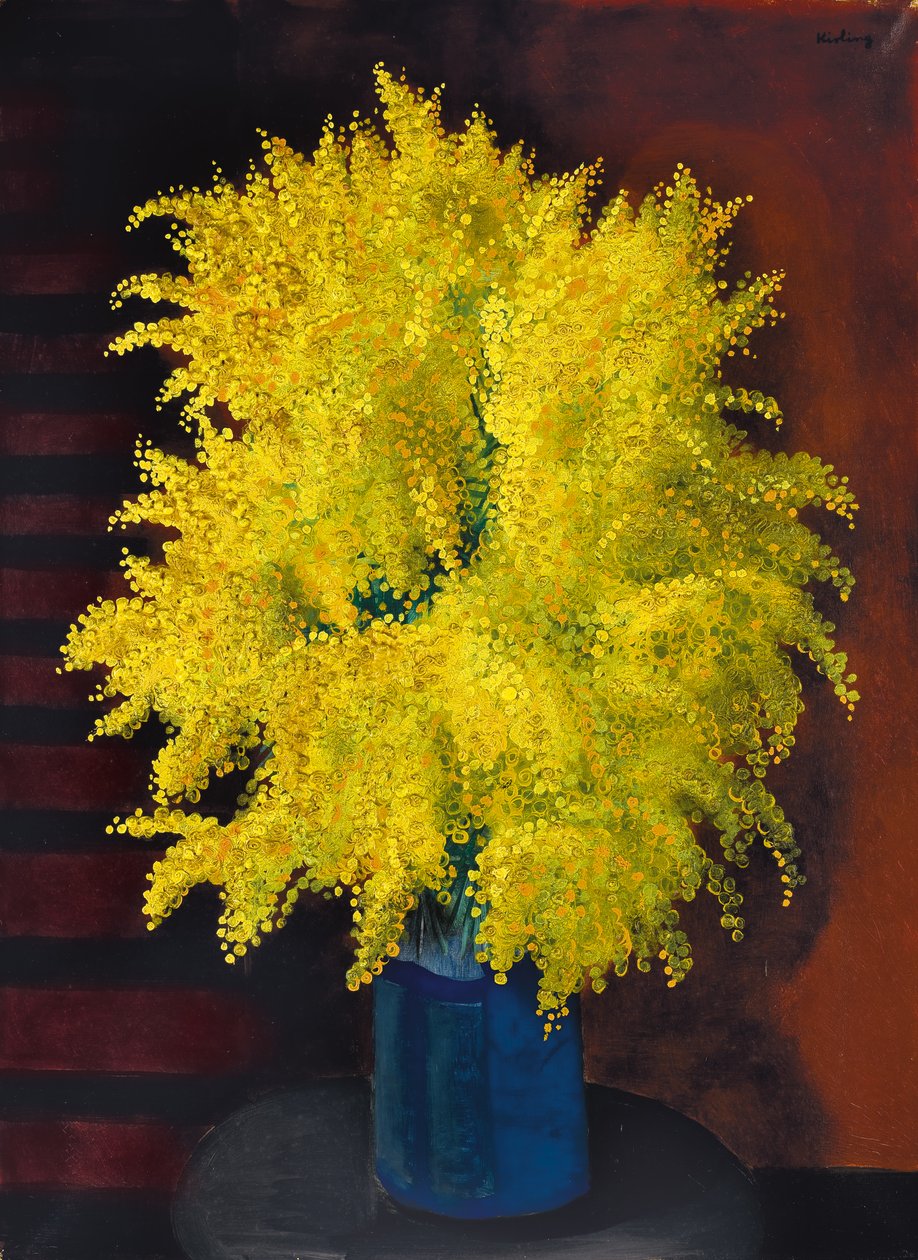 Boeket mimosa
