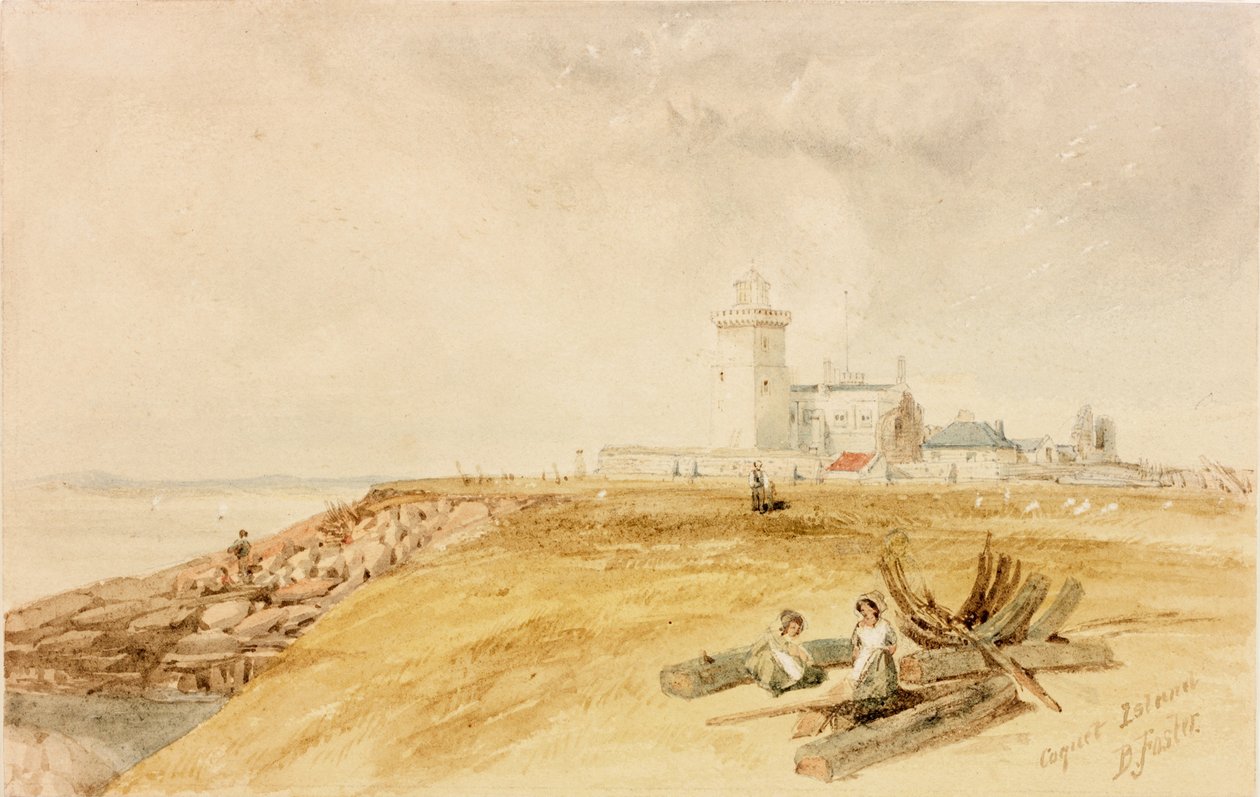 Coquet Island door Myles Birket Foster