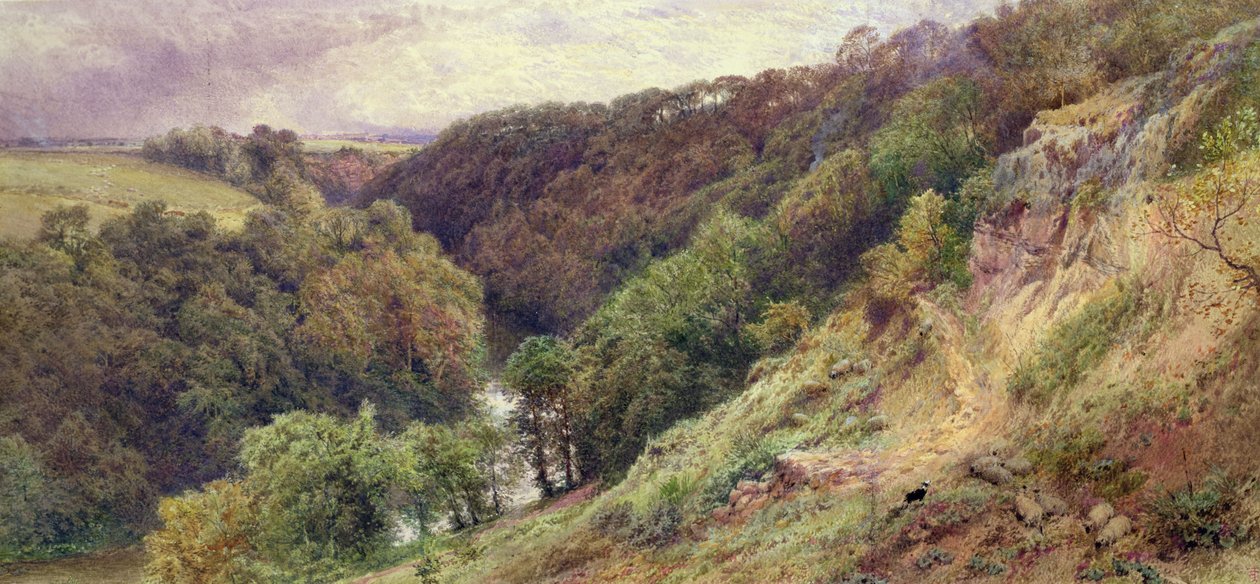 Een dal in Devonshire door Myles Birket Foster