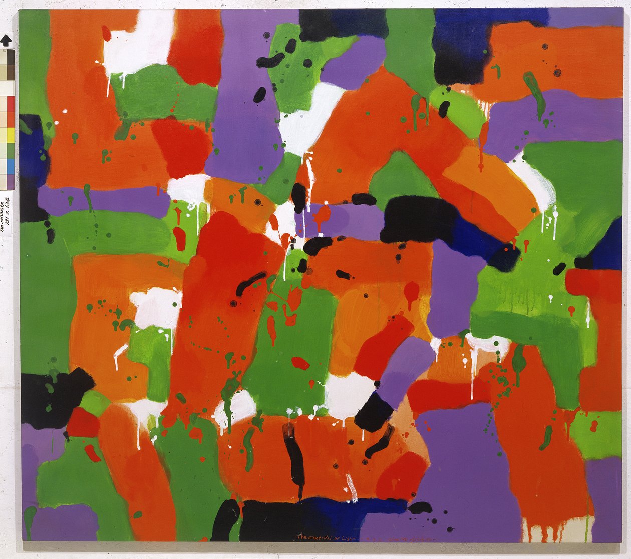 Het Festival van Licht, 1993 door Myung Bo Sim
