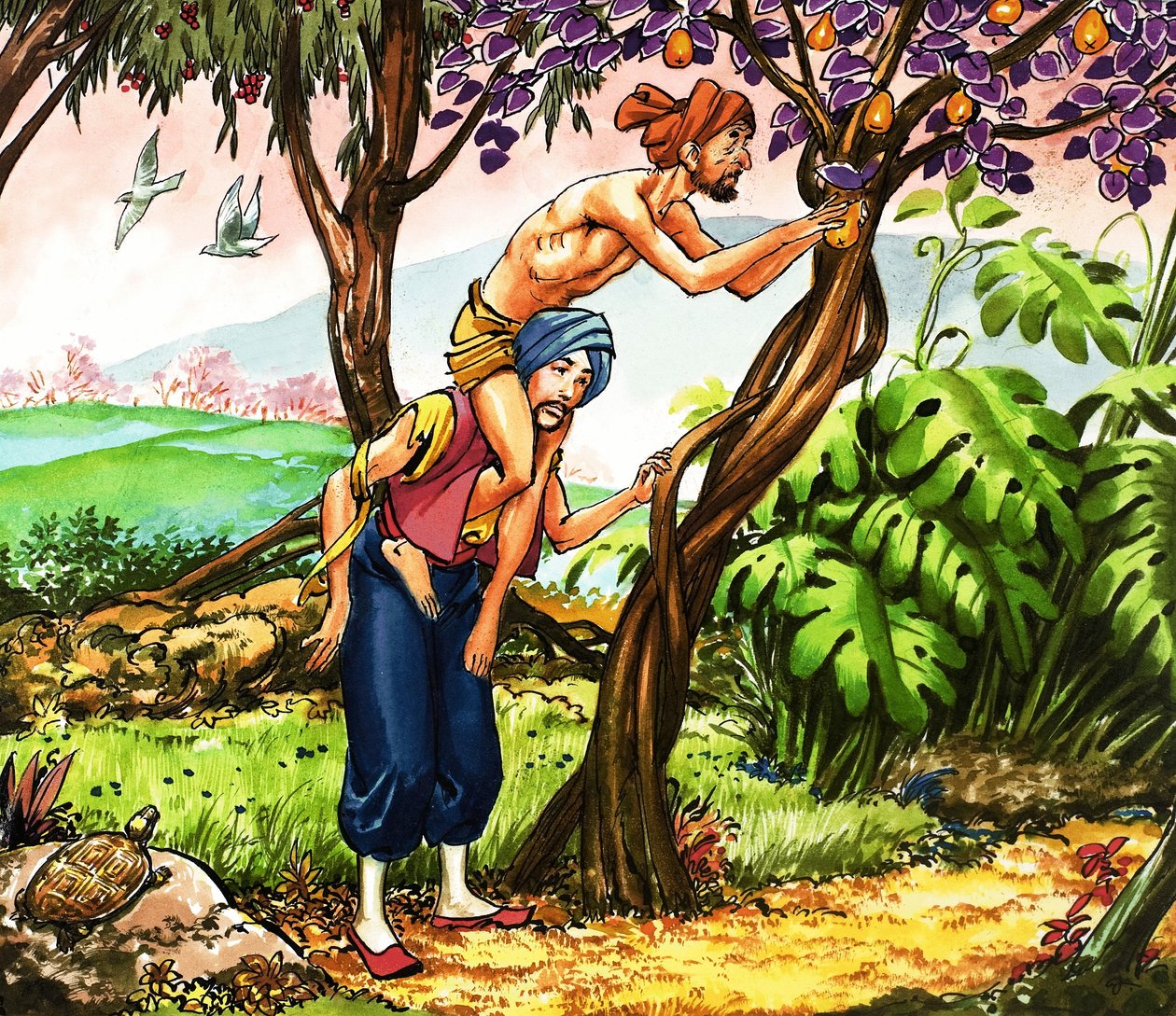 Sinbad de zeeman door Nadir Quinto