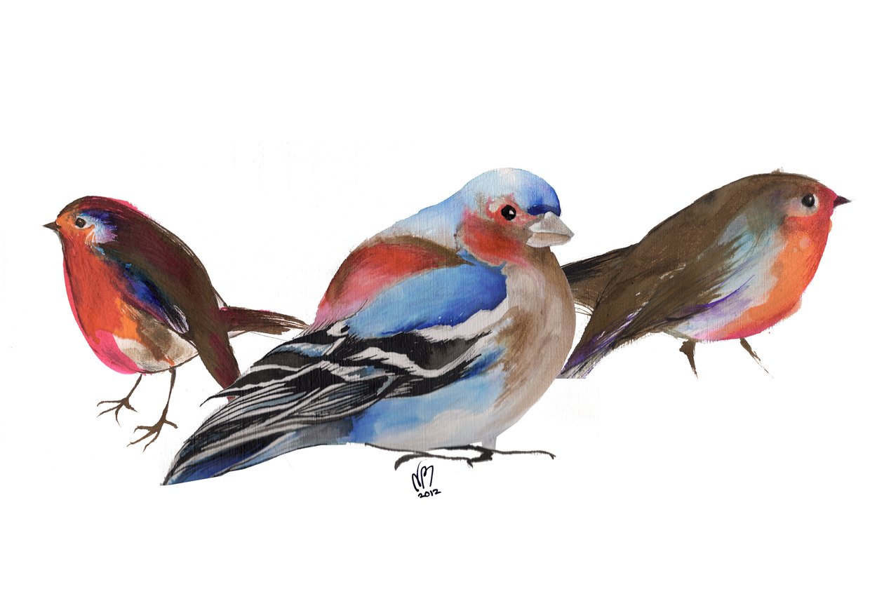 Vogels van een veer, 2011, inkt op papier door Nancy Moniz Charalambous