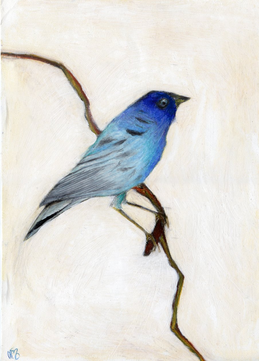 Kleine Blauwe, 2012 door Nancy Moniz Charalambous