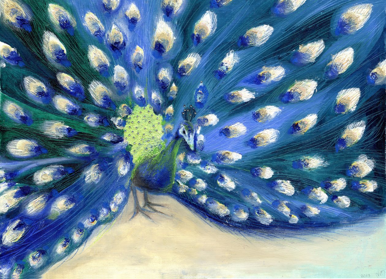 Pauwenogen, 2013 door Nancy Moniz Charalambous