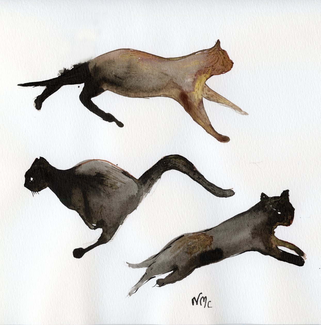 Ren Kat Ren, 2017 door Nancy Moniz Charalambous