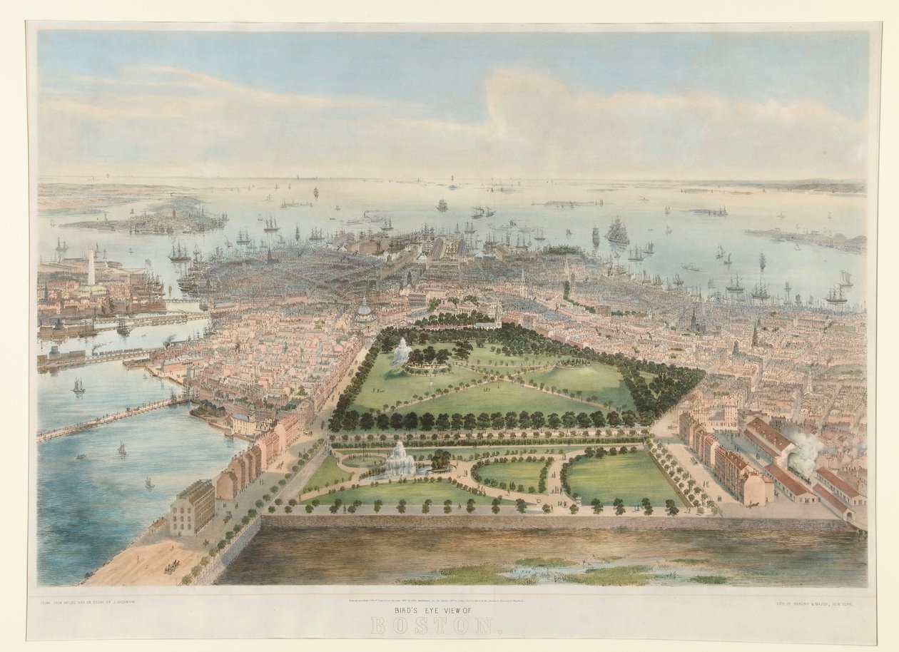 Vogel door Napoleon Sarony