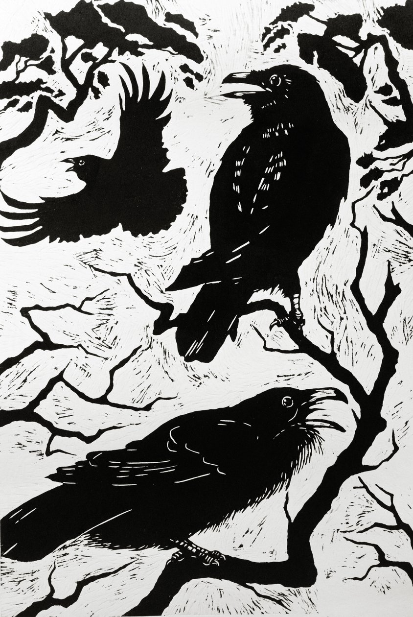 Raven door Nat Morley