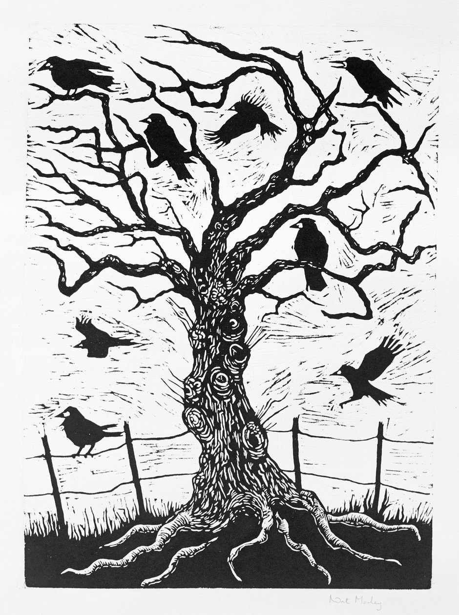 Kraaienboom door Nat Morley