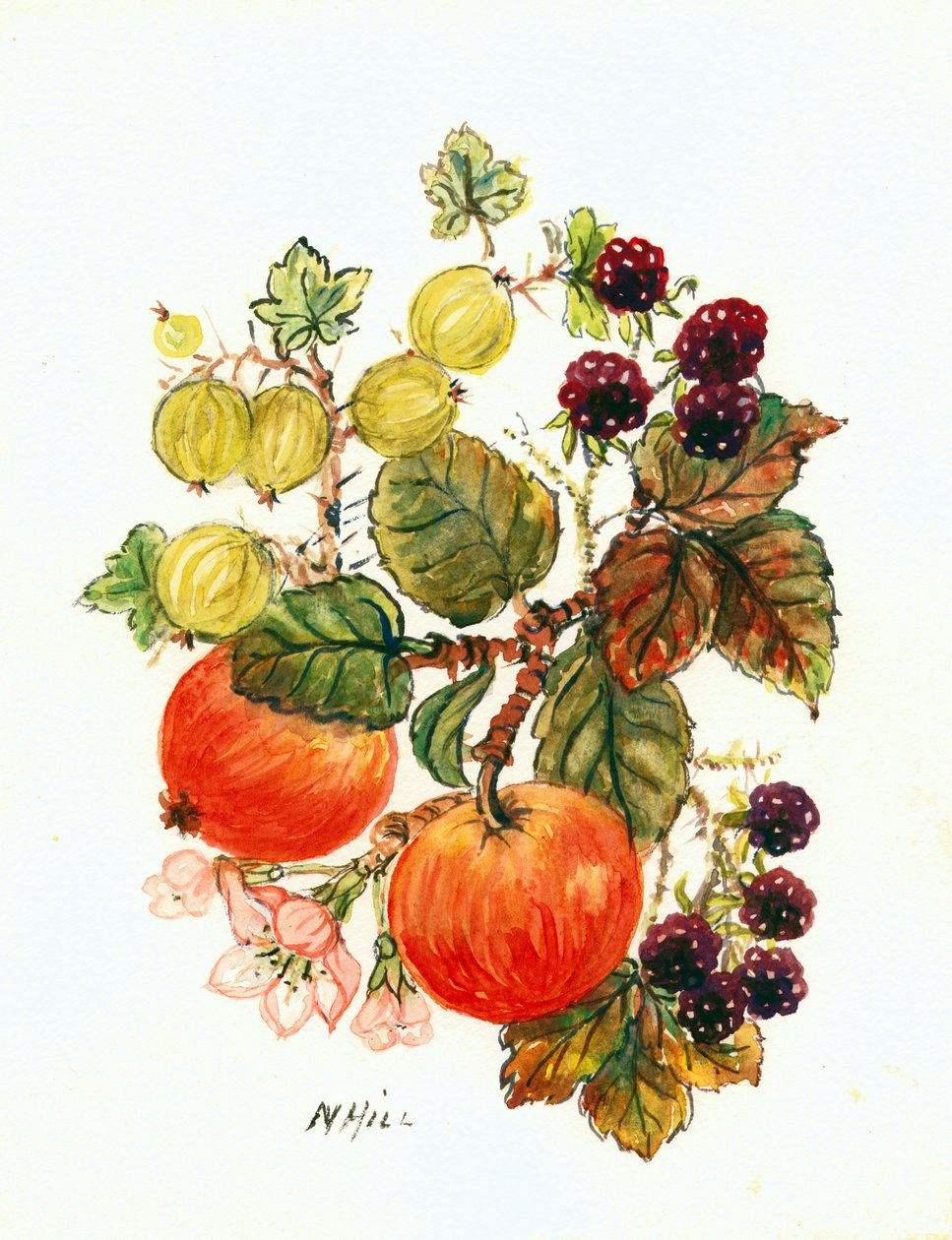 Bramen, Appels en Druiven door Nell Hill