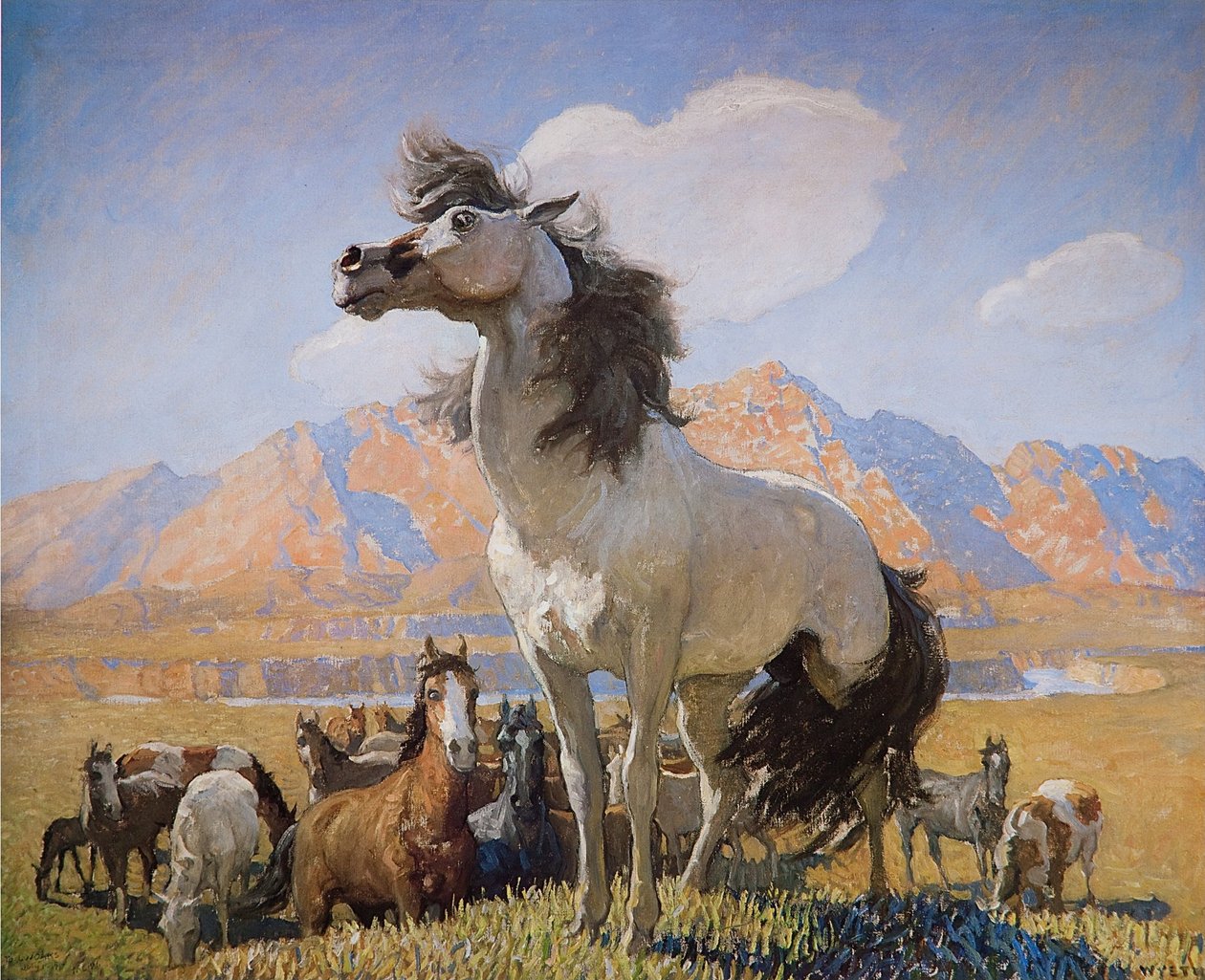 Rokerig gezicht door Newell Convers Wyeth