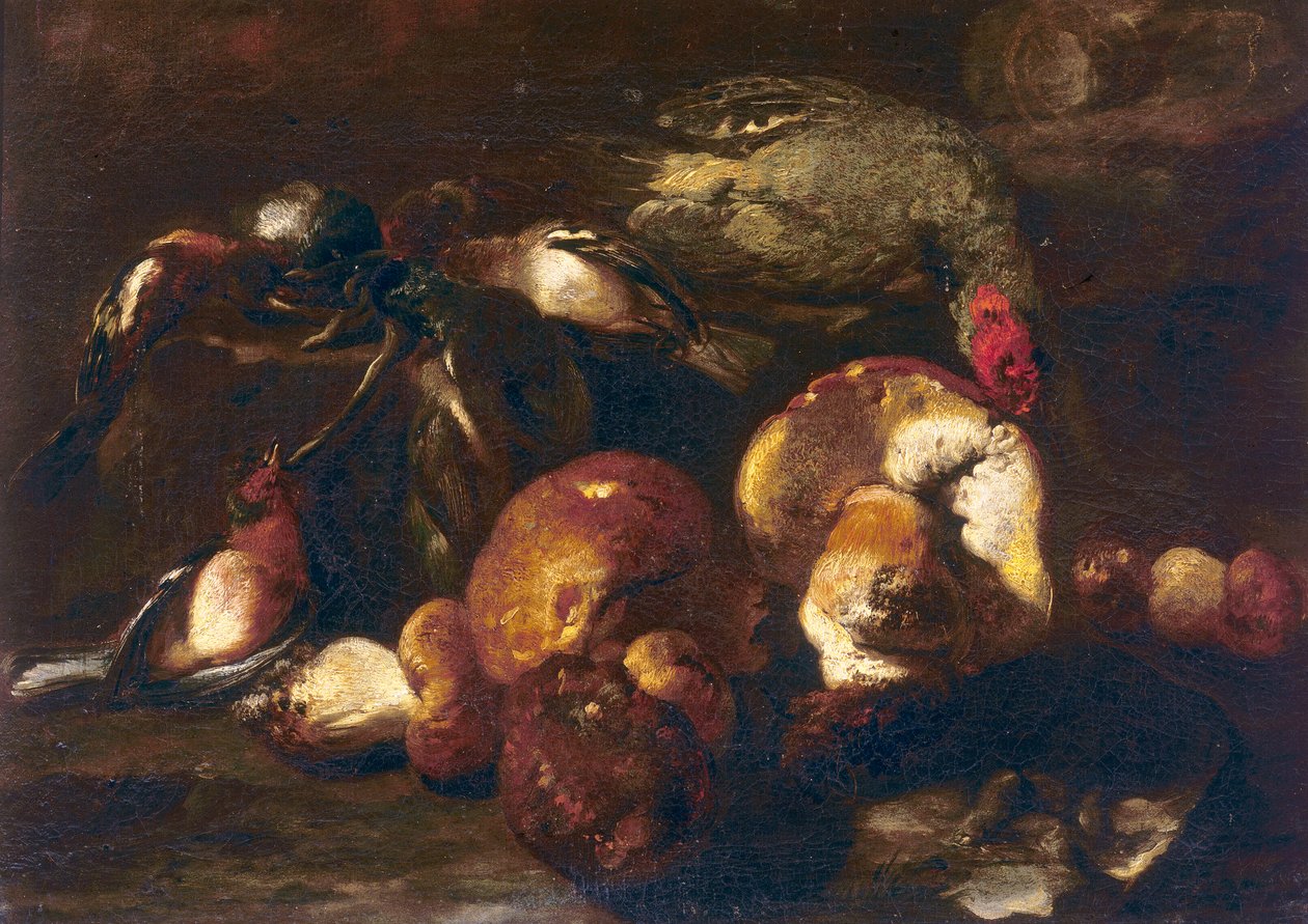 Vogels en paddenstoelen door Nicasius 1620 78 Bernaerts