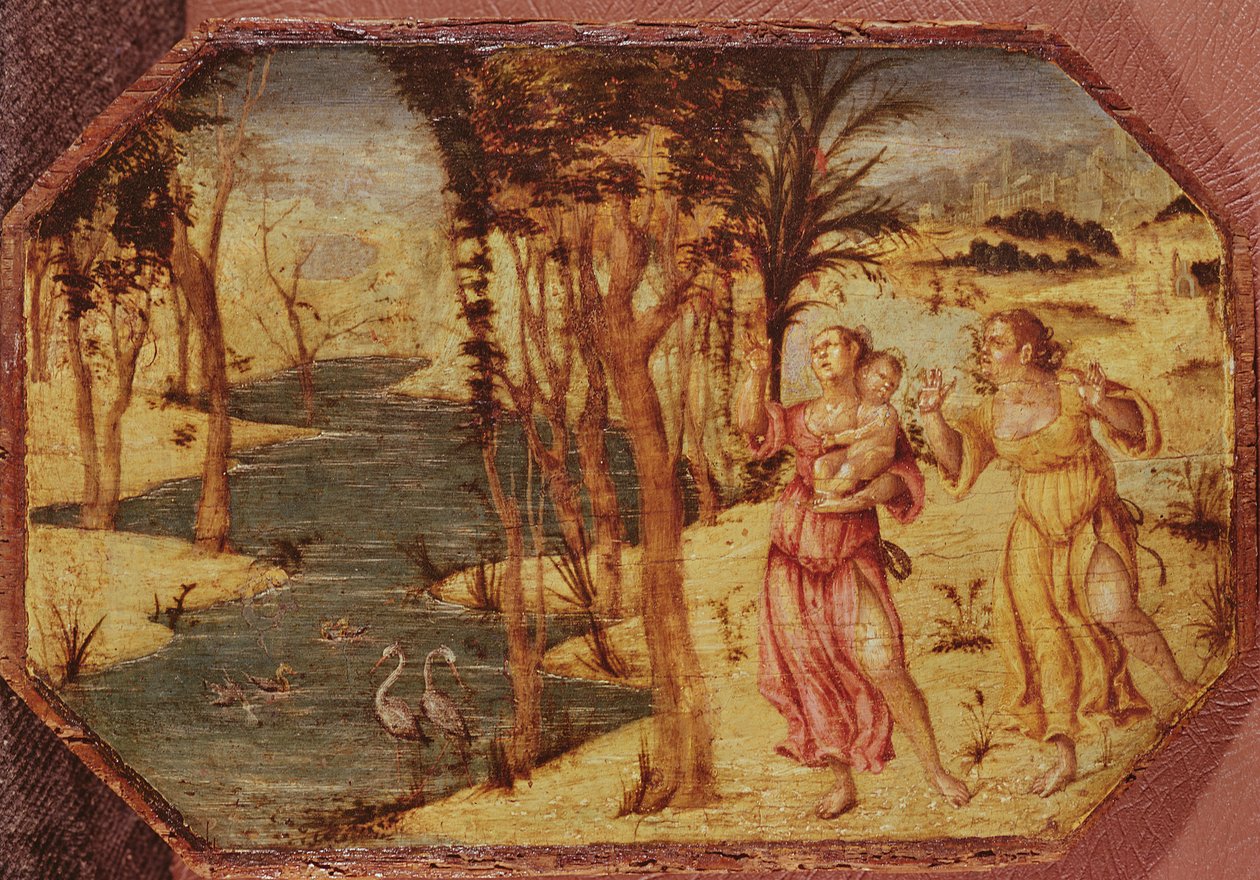 Legende van Phaeton door Niccolo the Younger Giolfino