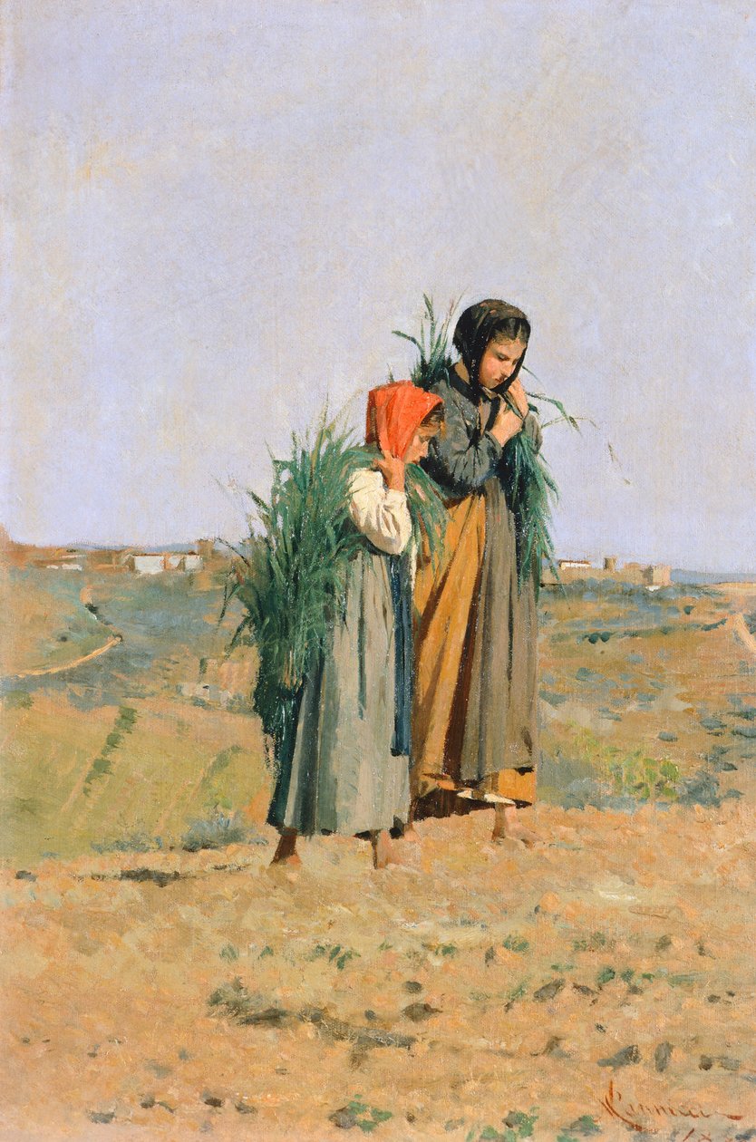 Erbaiole door Niccolo Cannicci