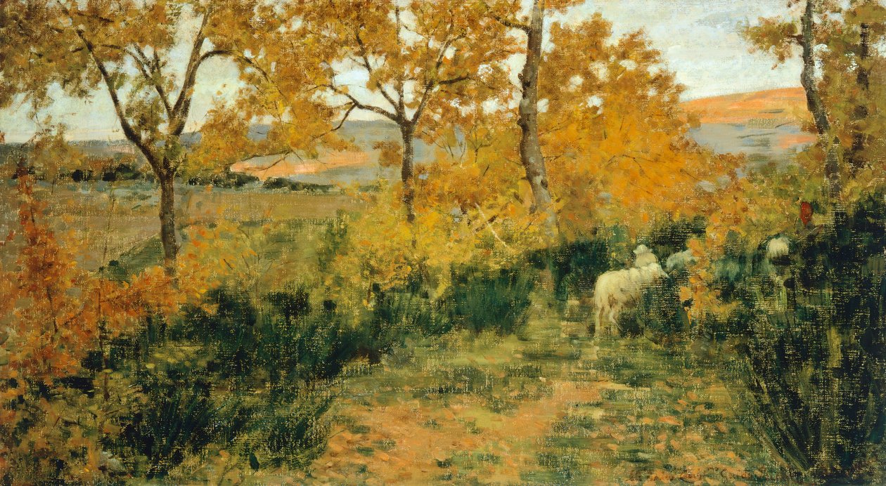 Gouden Bos in Montemiccioli door Niccolo Cannicci