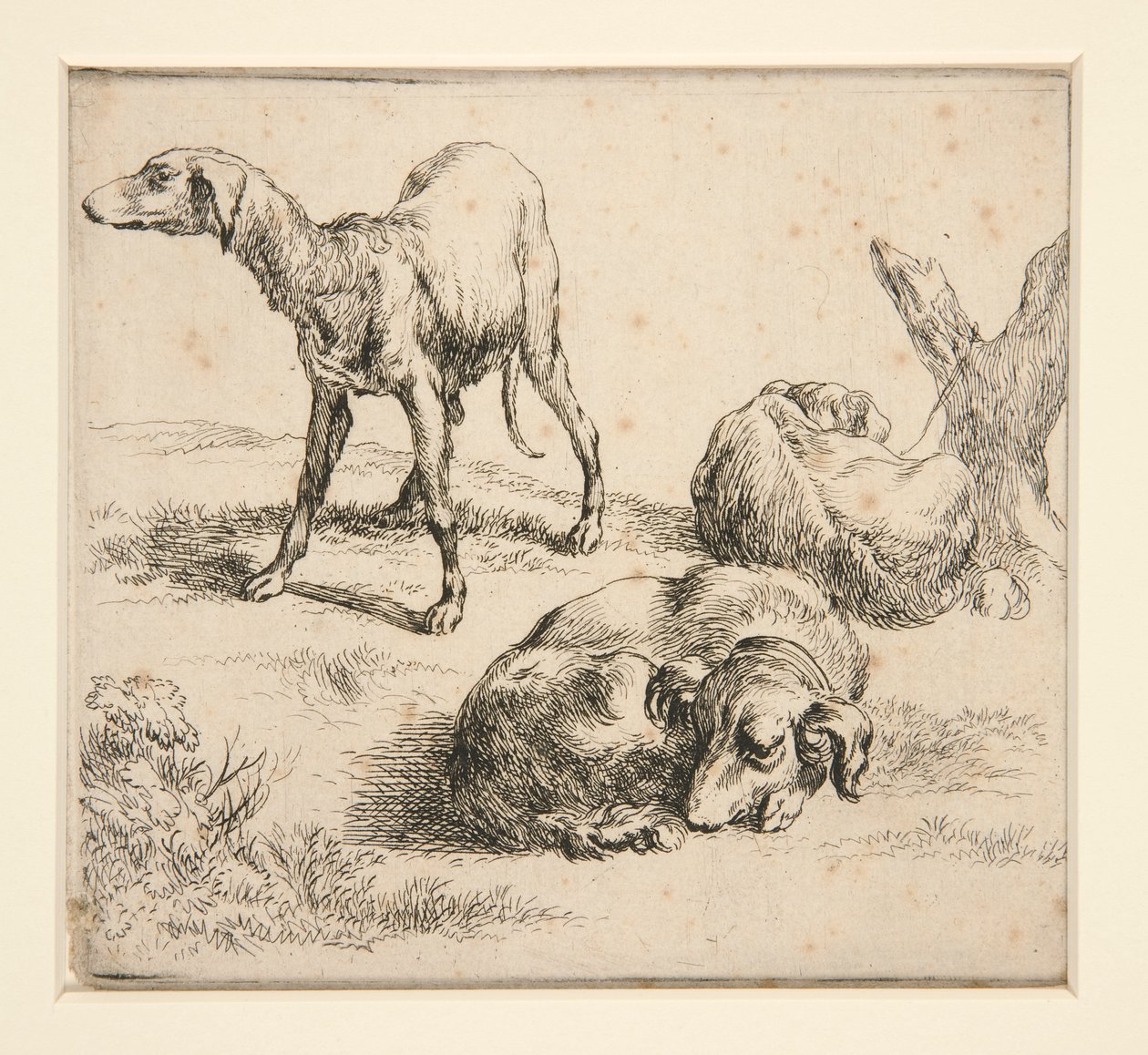 Drie jachthonden door Nicolaes Berchem