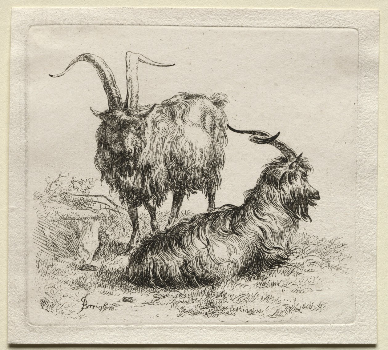 Twee Geiten door Nicolaes Pietersz. Berchem