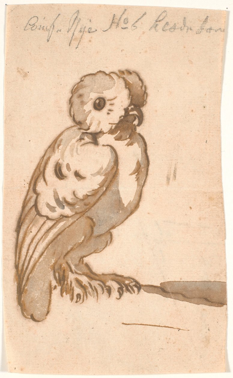 Een uil door Nicolai Abildgaard