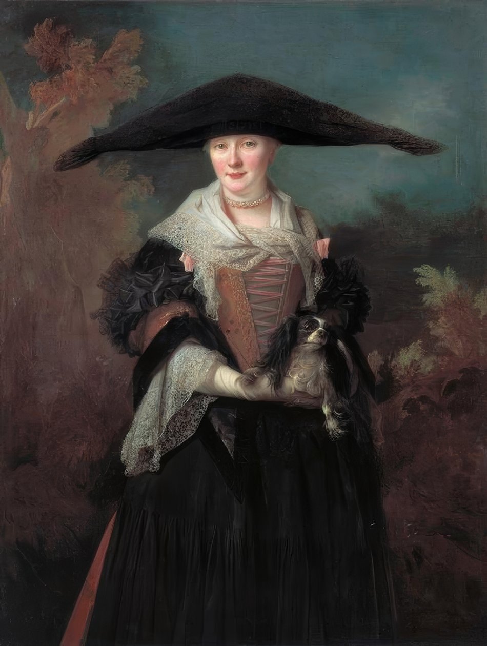 De mooie Straatsburgse door Nicolas de Largillière