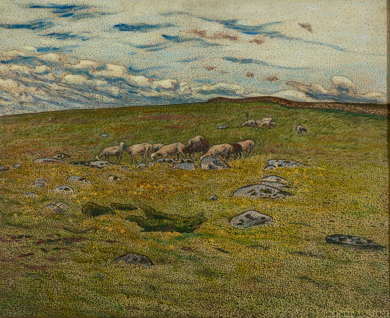 Grazende Schapen door Nils Kreuger