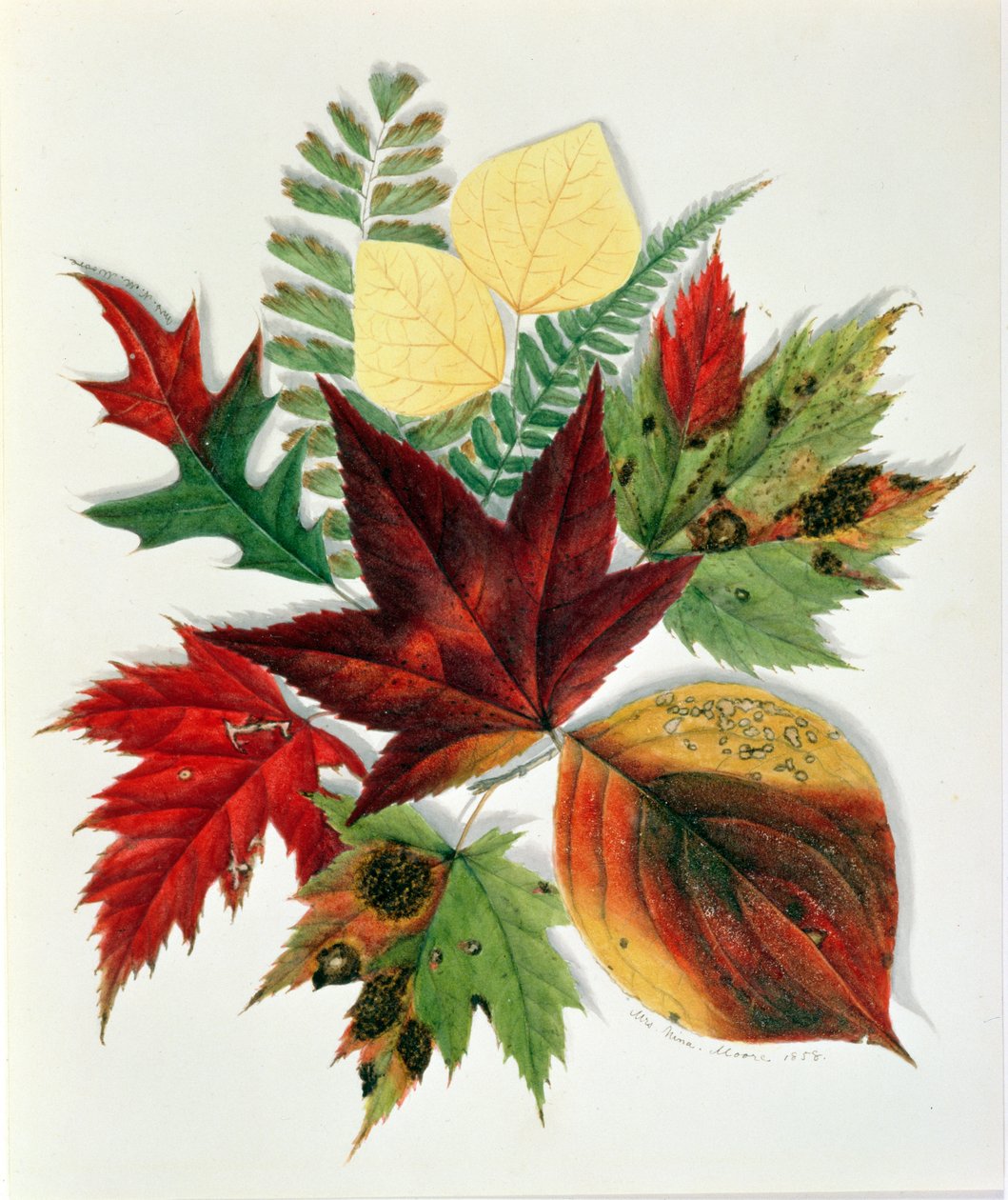Herfstbladeren, 1858 door Nina Moore