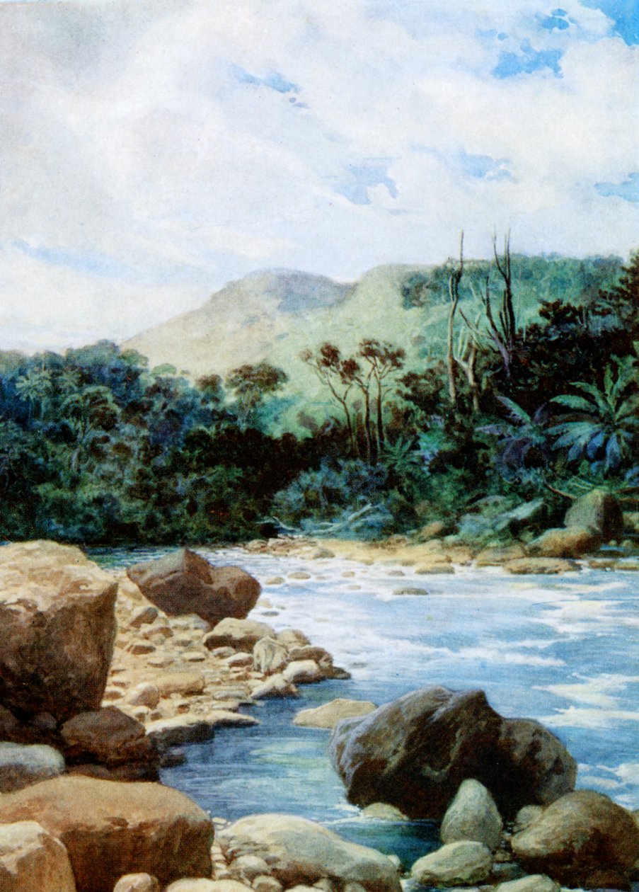 Landschap in Eromanga, Nieuwe Hebriden, 1908 door Norman Hardy